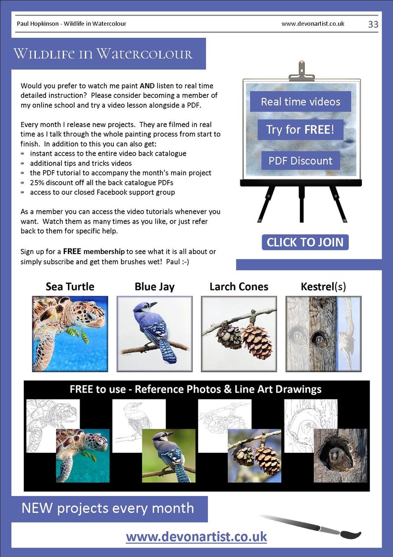 The last page of the lesson, with details on the video lessons the artist sells online.  There's also photos of 4 more PDFs, a sea turtle. blue jay bird, pine cones and a kestrel in a tree trunk.