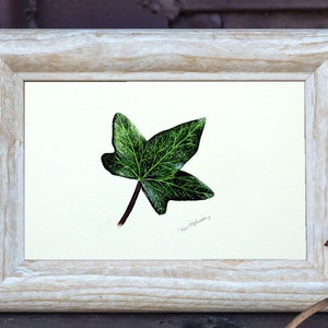 ORIGINAL Botanical Watercolor Leaf Illustration, Realistic Fine Art Ivy Leaf Watercolour Painting, Nature Wall Art, Paul Hopkinson Painting image 5