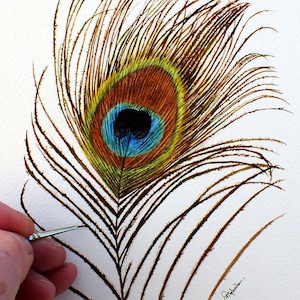 Learn to Paint a Feather in Watercolour, Peacock Feather Watercolor Painting Lesson, Illustration Art e-book