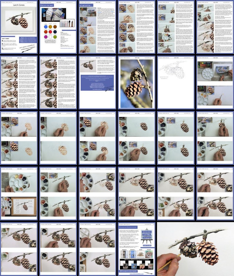An overview collage of all the pages in this watercolour painting lesson.  There are lots of work in progress photos of Paul's painting as it gradually comes together.  Alongside are written instructions to guide the student too.