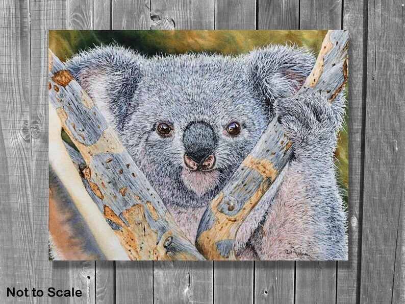 Original Watercolour Koala Painting, Realistic Fine Art Illustration, Watercolor Wildlife Artwork image 8