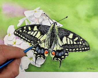 版画 SWALLOWTAIL BUTTERFLY 版画 SWALLOWTAIL BUTTERFLY 版画 SWALLOWTAIL BUTTERFLY Giant