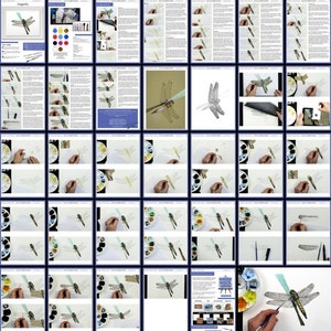 An overview image of the dragonfly painting lesson.  This has lots of written text and masses of photos of Paul's painting as it progresses through the various stages.