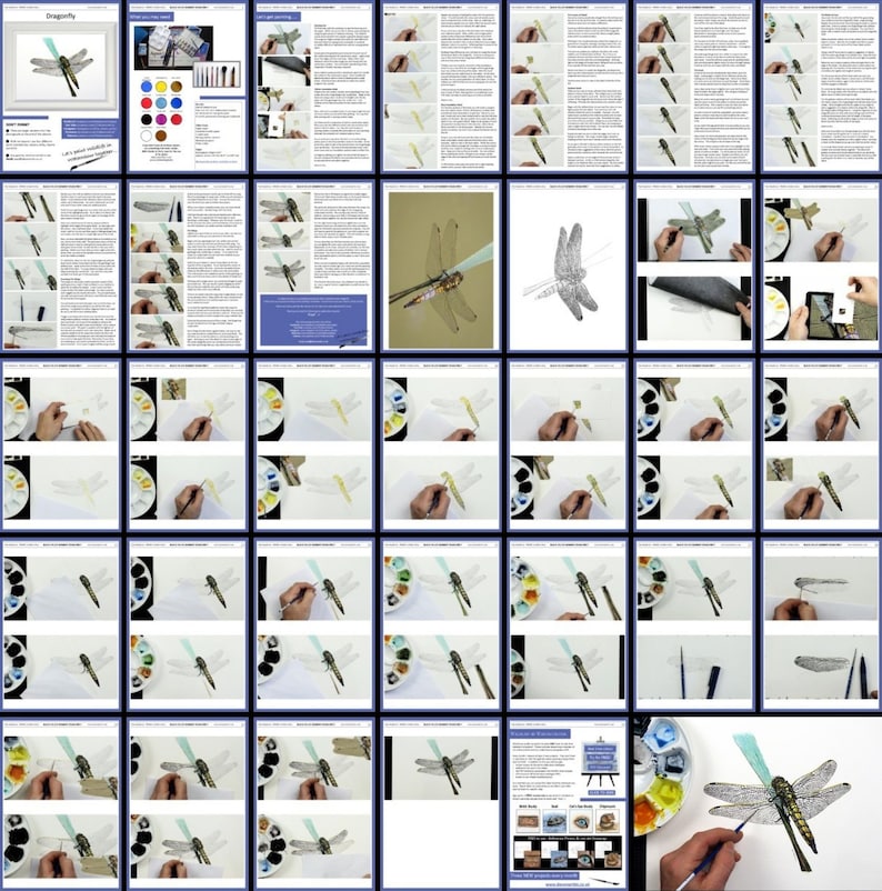 An overview image of the dragonfly painting lesson.  This has lots of written text and masses of photos of Paul's painting as it progresses through the various stages.