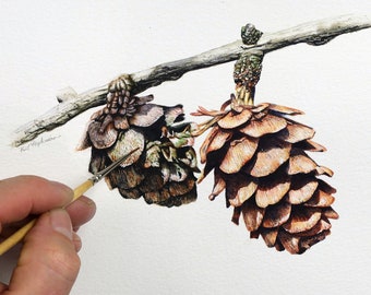 植物の水彩画レッスン、リアルな絵の描き方を学ぶ、水彩画の木の研究作品