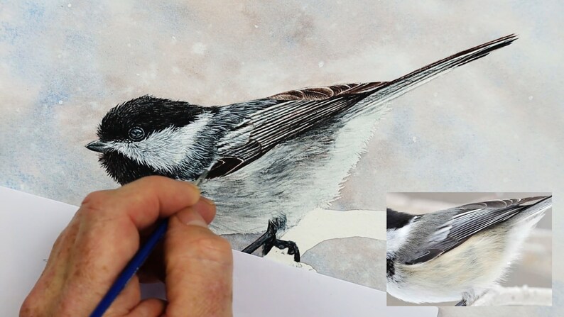 The bird is really coming together in this photo, with the head, wings and tails completed.  Paul is working on the belly, he has applied grey wash layers and details so far.