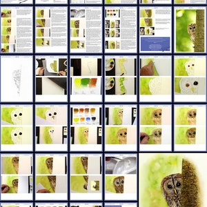 This is an overview image of the tutorial pages.  Showing the written text alongside photos, and lots of large work in progress photos for the student to follow.