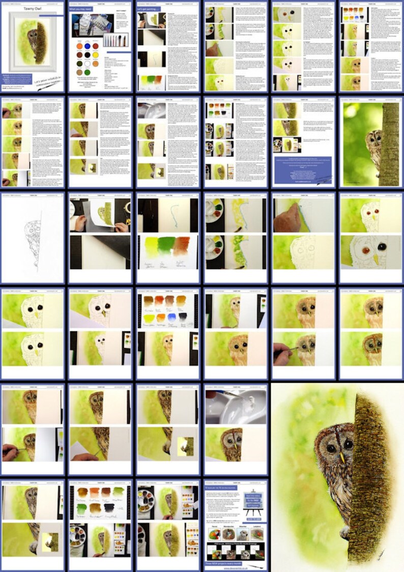 This is an overview image of the tutorial pages.  Showing the written text alongside photos, and lots of large work in progress photos for the student to follow.