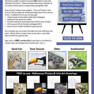 The last page of the lesson, this has images of 4 more tutorials that can be bought as PDFs.  A cat, toucan, otter and butterfly.  Paul also gives details about his video tutorials online.