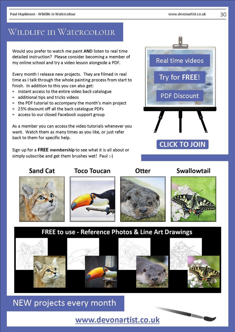 The last page of the lesson, this has images of 4 more tutorials that can be bought as PDFs.  A cat, toucan, otter and butterfly.  Paul also gives details about his video tutorials online.
