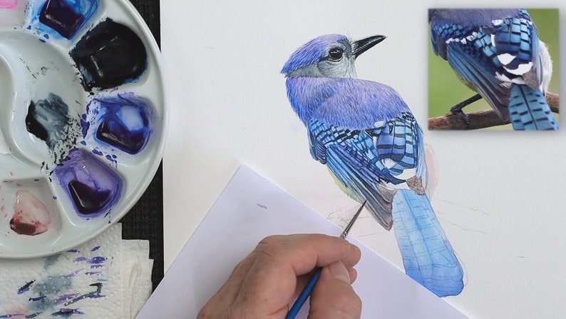 Paul is now working on the mid-tone details within the bird's feathers.  These include the patterns on the wings and the pinky feathers at the bottom of the wings.