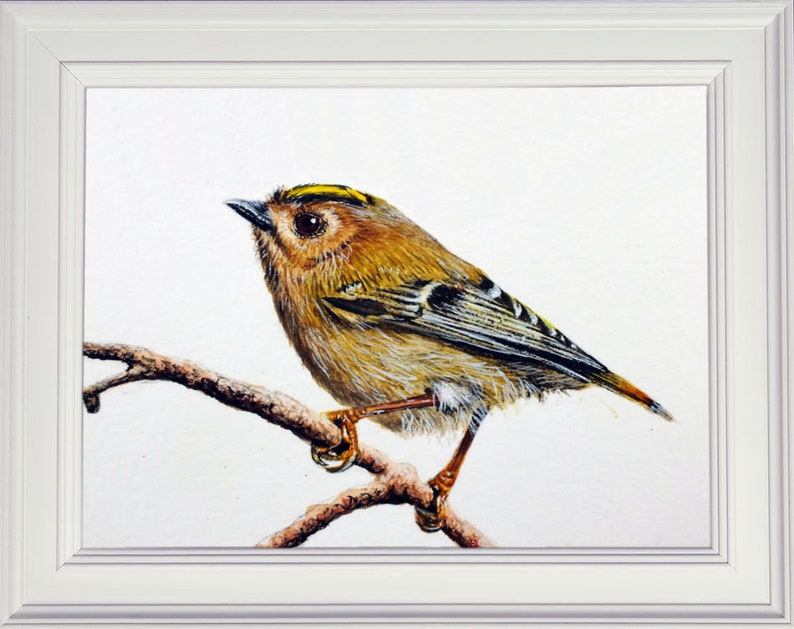 The whole goldcrest painting in a white frame.  The bird is perched on a small twig and is looking to the left.  It is mainly a golden brown, with splashes of gold, black and white within its plumage.