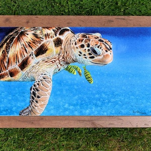 The green sea turtle painting in a mid-brown wooden frame.  This has been laid on a lawn.