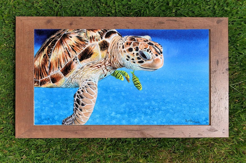 The green sea turtle painting in a mid-brown wooden frame.  This has been laid on a lawn.