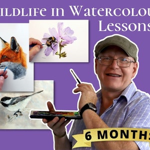 A picture of Paul holding a brush and paint pans with the word annual across him.  The title is Wildlife in Watercolour Lessons, and there are images of a Fox, Chickadee and Bumblebee paintings, all with Paul's hand on them with his brush.