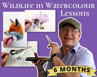 Online Watercolour Painting Lessons, Learn to Paint Realistic Wildlife in Fine Detailed Watercolor, Animal, Bird & Botanical Painting Videos