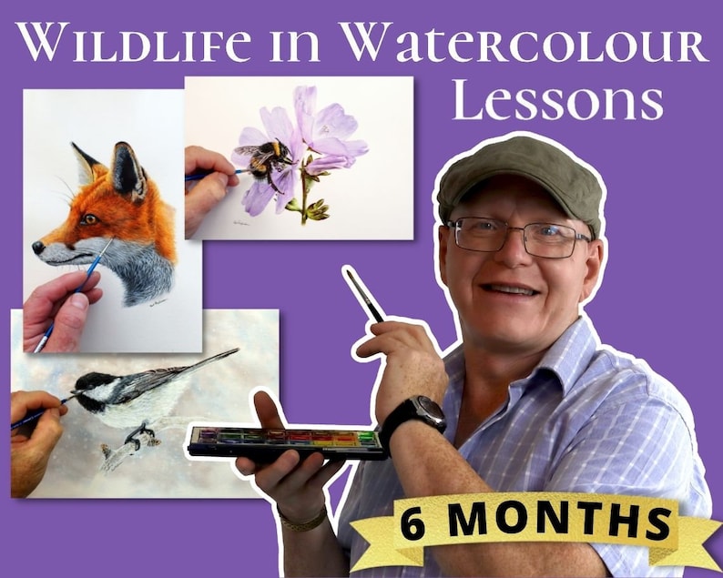 A picture of Paul holding a brush and paint pans with the word annual across him.  The title is Wildlife in Watercolour Lessons, and there are images of a Fox, Chickadee and Bumblebee paintings, all with Paul's hand on them with his brush.