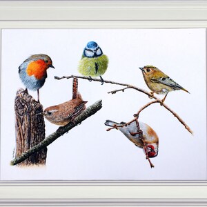 The wren painting shown as part of a larger painting which features 5 small garden birds.  A robin, blue tit, goldcrest, goldfinch and the wren.  These are all painted in tiny detail, and look realistic.