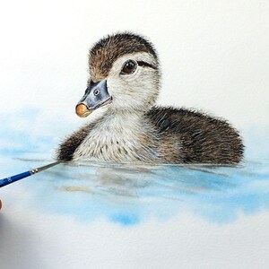 Paul finishing off his watercolor painting of a fluffy duckling swimming on some blue water.  The duckling is mainly brown and white, with an orange end to its beak.