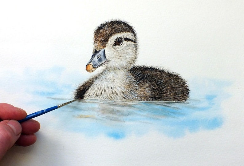 Paul finishing off his watercolor painting of a fluffy duckling swimming on some blue water.  The duckling is mainly brown and white, with an orange end to its beak.