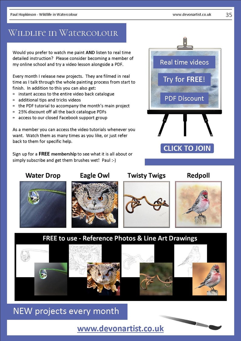 The last page of the lesson, which details online watercolour video lessons that Paul offers in his school.  The page also has photos of 4 more tutorials available from Etsy.  These include a water droplet, eagle owl, twisty twig and redpoll bird.