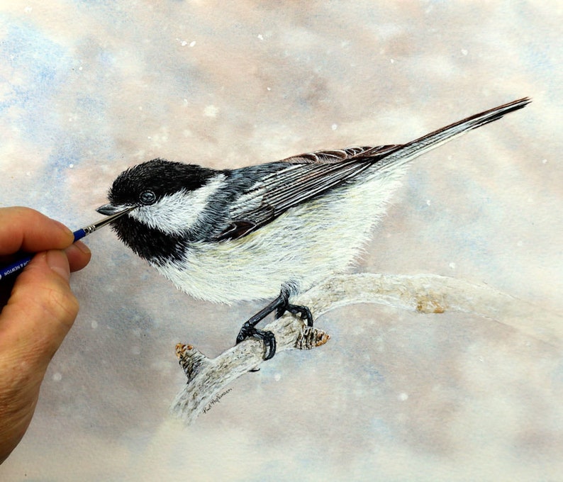 Paul working on a very detailed painting of a Chickadee bird.  He is painting it in watercolour in realistic colours. The bird has a black cap and bib, its remaining feathers are white, grey or black. It's perched on a thin snowy branch.