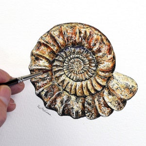 Zelfstudie fossielen schilderen pen en wassen, techniek aquarel wassen, ammonietles aquarel schilderen, tekening pen en inkt