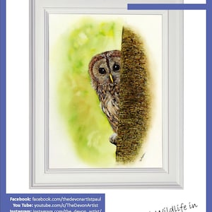 Page one of the e-book tutorial, this shows the completed tawny owl watercolour painting in a white frame.  Below are a list of Paul's online channels.