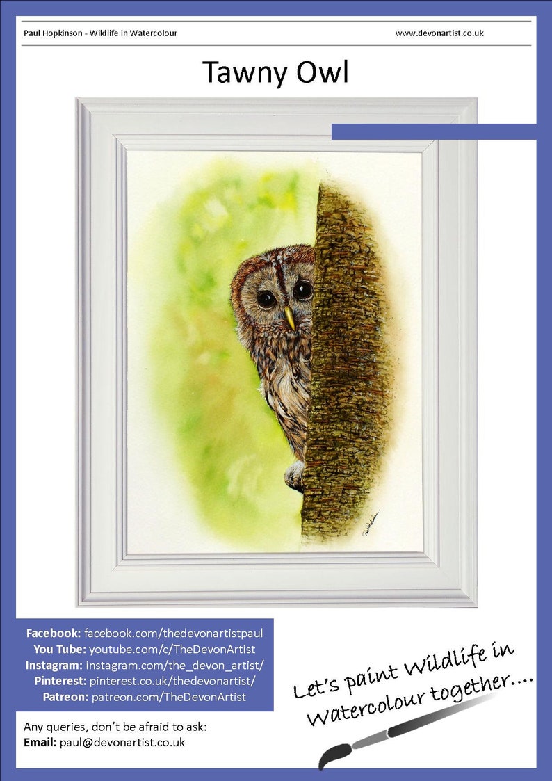 Page one of the e-book tutorial, this shows the completed tawny owl watercolour painting in a white frame.  Below are a list of Paul's online channels.