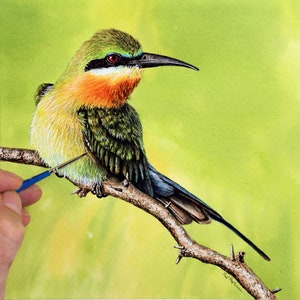 Watercolor Bird Painting Course, Learn to Paint Wildlife in Fine-art Watercolour Detail, Bee-eater Illustration Lesson