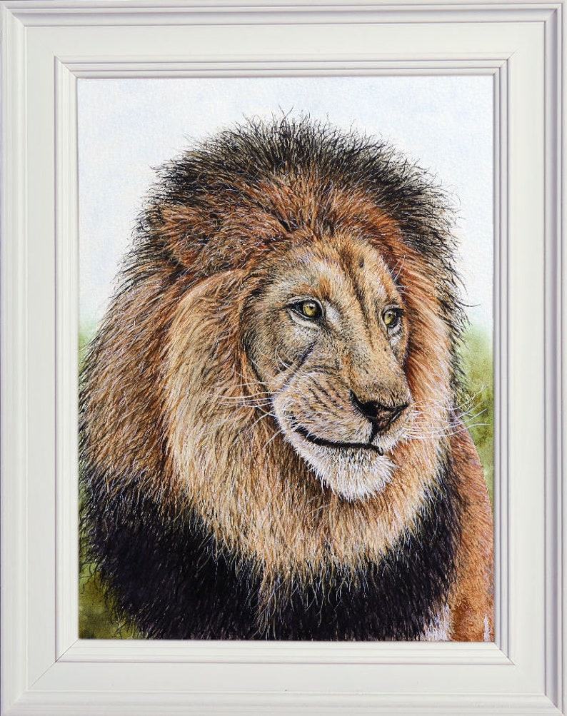 The finished Lion painting in a white frame.  The study focuses on its head and neck, with the body tucked in behind.  This is a male lion, with a large dark mane surrounding its face.