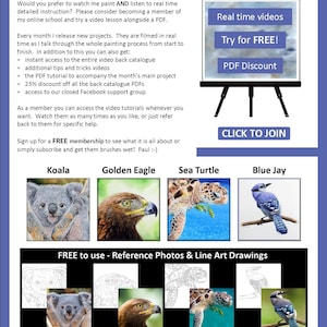 The last page of the lesson, with photos of 4 more wildlife subjects that there are PDFs for. These are a koala, golden eagle, sea turtle and blue jay bird.  There are also written details about Paul's online video lessons.