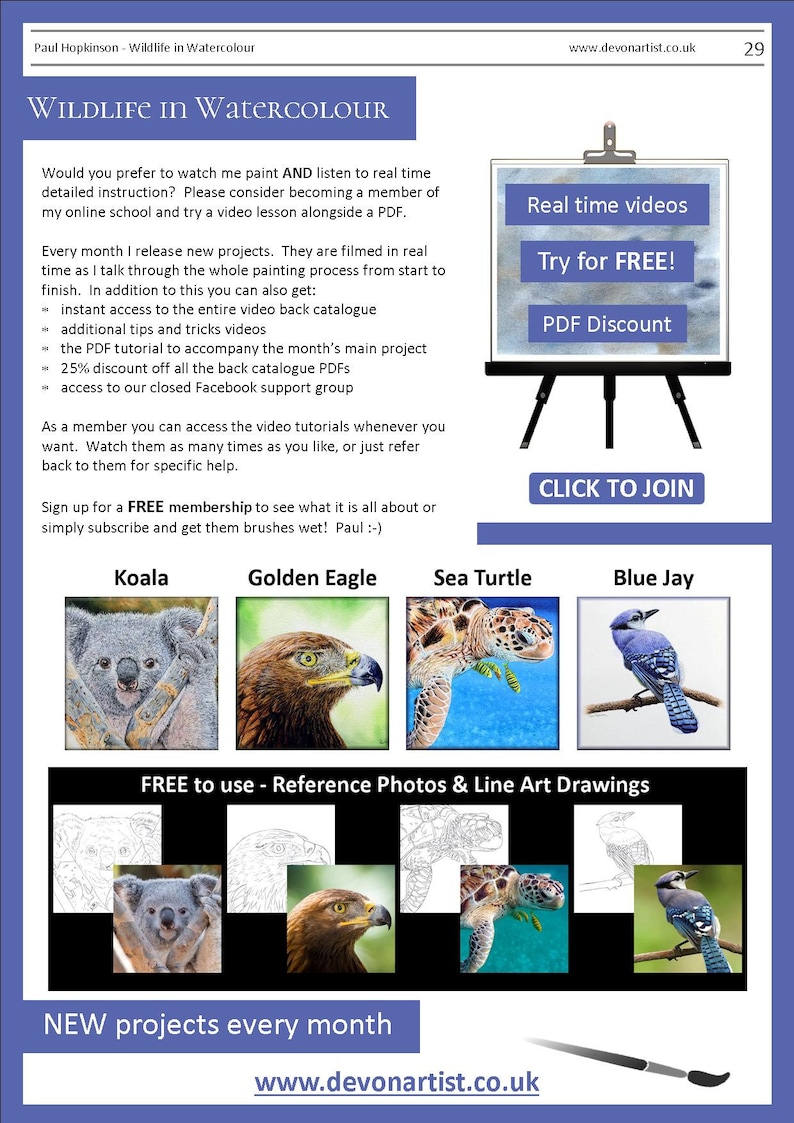 The last page of the lesson, with photos of 4 more wildlife subjects that there are PDFs for. These are a koala, golden eagle, sea turtle and blue jay bird.  There are also written details about Paul's online video lessons.