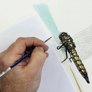 The body of the dragonfly looks like it is now finished, and Paul is applying some fine details to the blade of grass it is resting on.  This is a minty green colour.