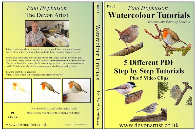 Learn to Paint Birds in Watercolour Step by Step PDF Etsy UK