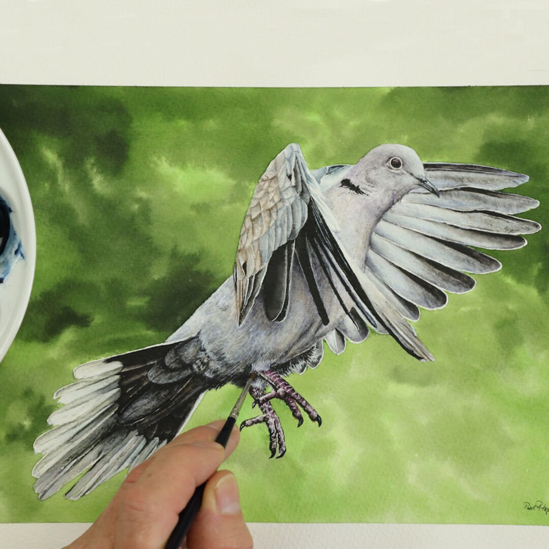PDF Watercolor Painting Lesson, How to Paint Flying Birds in