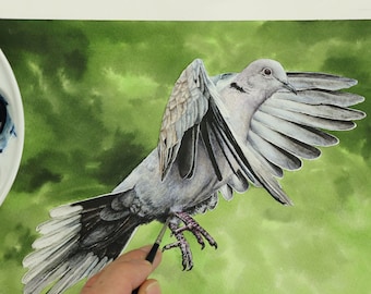 PDF Watercolor Painting Lesson, How to Paint Flying Birds in Watercolour, Collared Dove Art Tutorial, Painting Technique Guide, Artist Gift