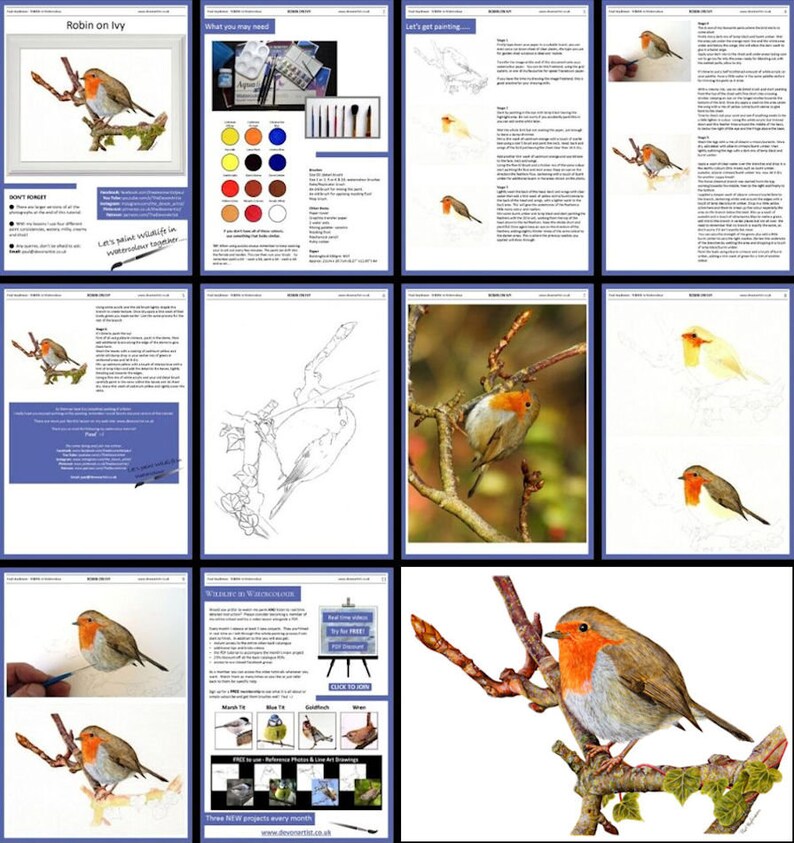 Learn to Paint Birds in Watercolour Step by Step PDF Etsy UK
