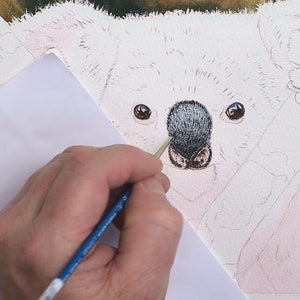 A set of 4 photos showing different stages of the painting.  This one has the Koala with the background painted, and the pink foundation wash on the fur.  Paul has painted the eyes and the nose.