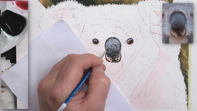 A set of 4 photos showing different stages of the painting.  This one has the Koala with the background painted, and the pink foundation wash on the fur.  Paul has painted the eyes and the nose.