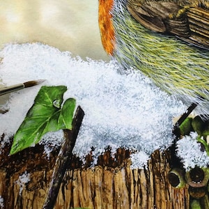 May include: A close-up of a robin perched on a snow-covered branch. The bird is facing to the right, with its head turned slightly to the left. The robin's feathers are a mix of brown, green, and orange. The snow is white and fluffy, and there are some green leaves on the branch.