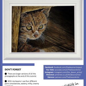 The first page of the lesson, with the finished cat painting in a white frame, and the links to Paul's other online watercolour channels.