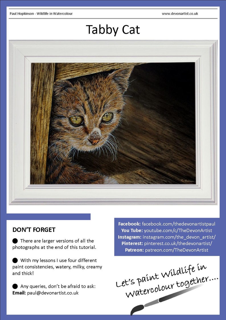 The first page of the lesson, with the finished cat painting in a white frame, and the links to Paul's other online watercolour channels.