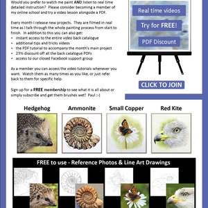 The last page of the lesson which shows other wildlife painting tutorials that Paul has for sale.  These include a hedgehog, ammonite fossil, small copper butterfly and a red kite head study.
