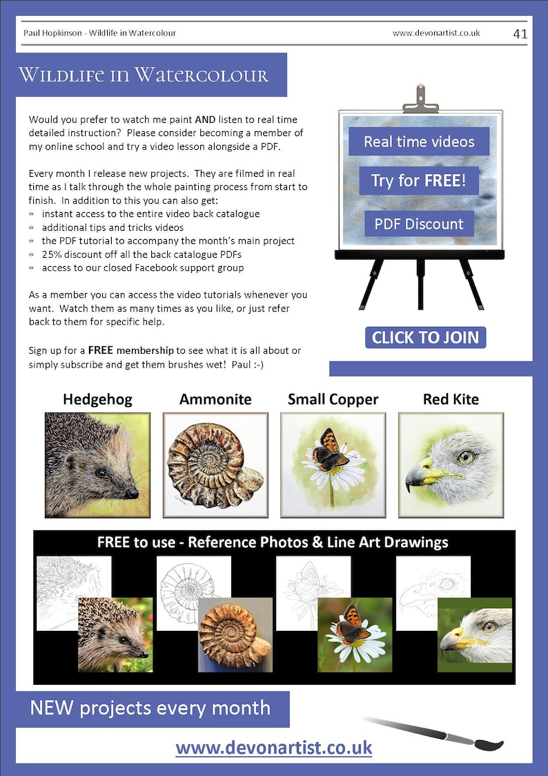 The last page of the lesson which shows other wildlife painting tutorials that Paul has for sale.  These include a hedgehog, ammonite fossil, small copper butterfly and a red kite head study.