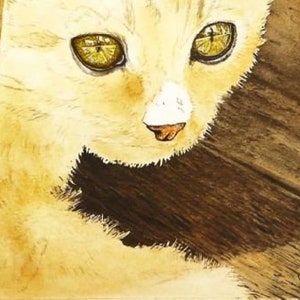 The eyes are fully painted, as is the floor and the piece of wood to the left of the cat.  The cat has a wash of brown all over it.