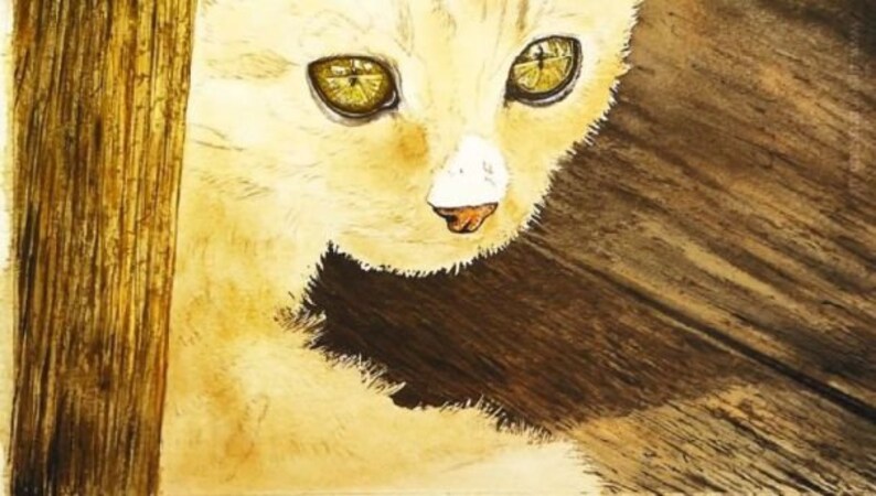 The eyes are fully painted, as is the floor and the piece of wood to the left of the cat.  The cat has a wash of brown all over it.