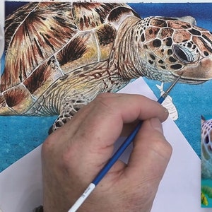 The turtle is almost painted, Paul is adding white to the face with a tiny brush.  He hasn't yet painted the yellow fish.