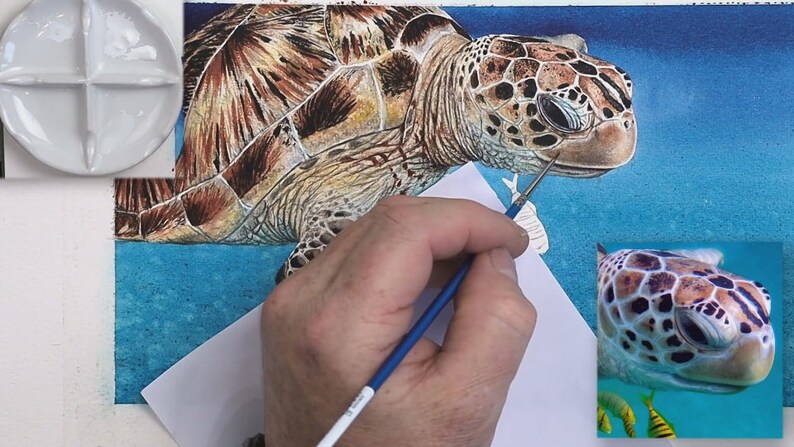 The turtle is almost painted, Paul is adding white to the face with a tiny brush.  He hasn't yet painted the yellow fish.