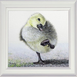 Watercolour painting of a gosling stood on one leg.  This is mainly yellows and greys, and is very fluffy.  It is stood on rough ground, with a bit of grass to the left